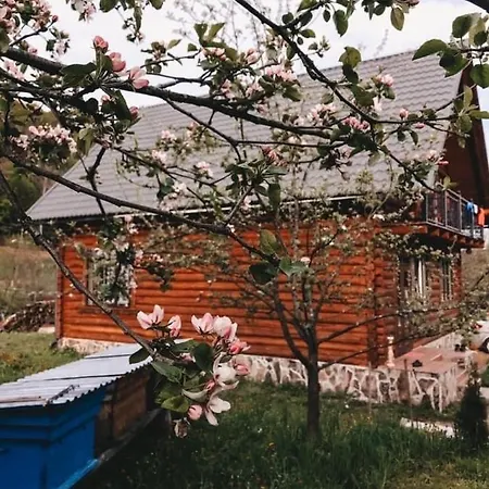 Country house Pid Pikujem *